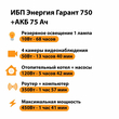ИБП для котла Энергия Гарант 750 + Аккумулятор 75 Ач 12 В (450Вт - 91мин) - ИБП и АКБ - ИБП для котлов - Магазин стабилизаторов напряжения Ток-Про
